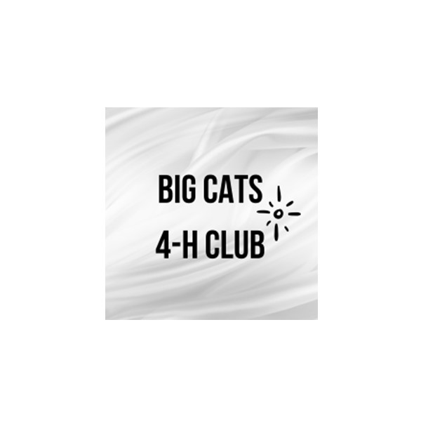 Big Cats Club Title