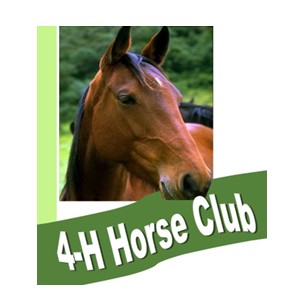 Horse Club Graphic