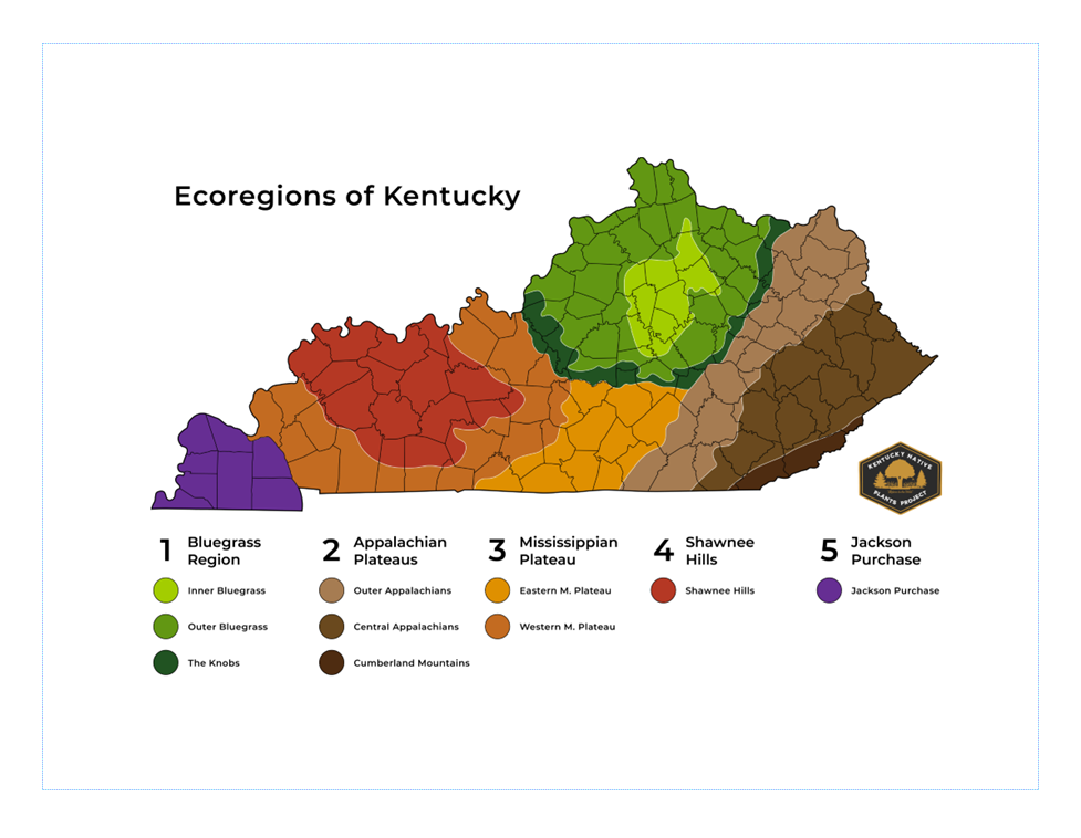 ecoregions with sub-regions