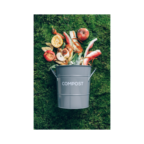 Compost bin with food scraps
