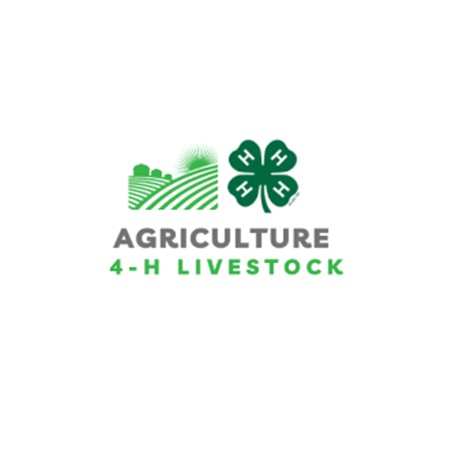 Agriculture 4-H livestock 