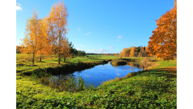 picture of pond